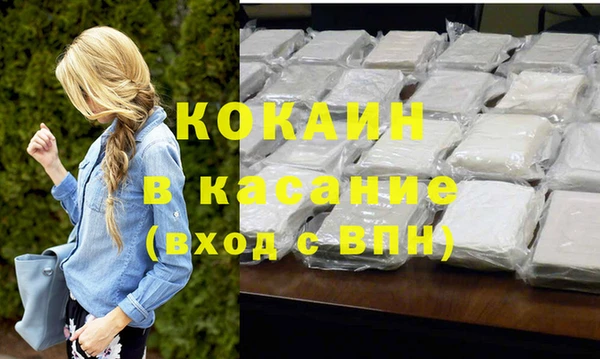 сатива Арсеньев