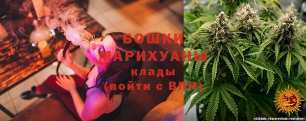 сатива Арсеньев