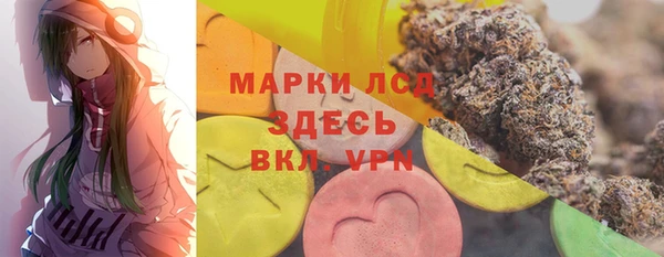сатива Арсеньев