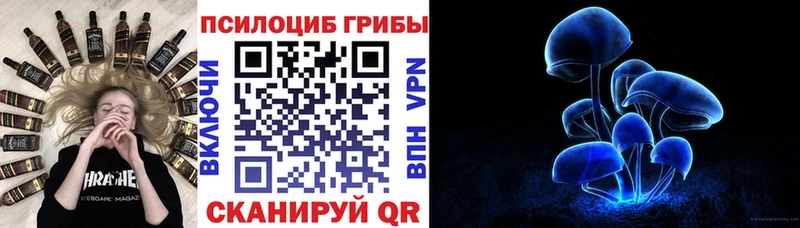 Псилоцибиновые грибы мицелий  закладка  Кирово-Чепецк 